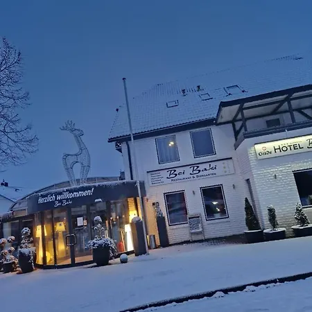 Hotel & Restaurant Bei Baki 3*
